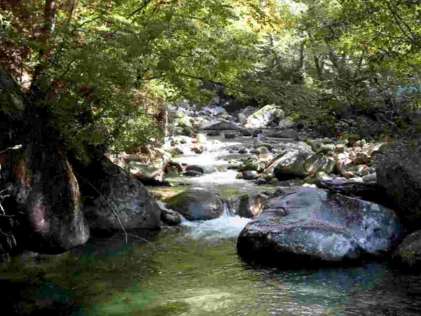  Image name: Fiume49.jpg 
 width: 601 pixel 
 height: 451 pixel 
 Size: 248710 bytes 
 Click to enlarge 